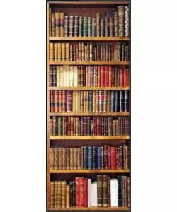 RIVESTIMENTO PER PORTA LIBRERIA, 83X210 CM